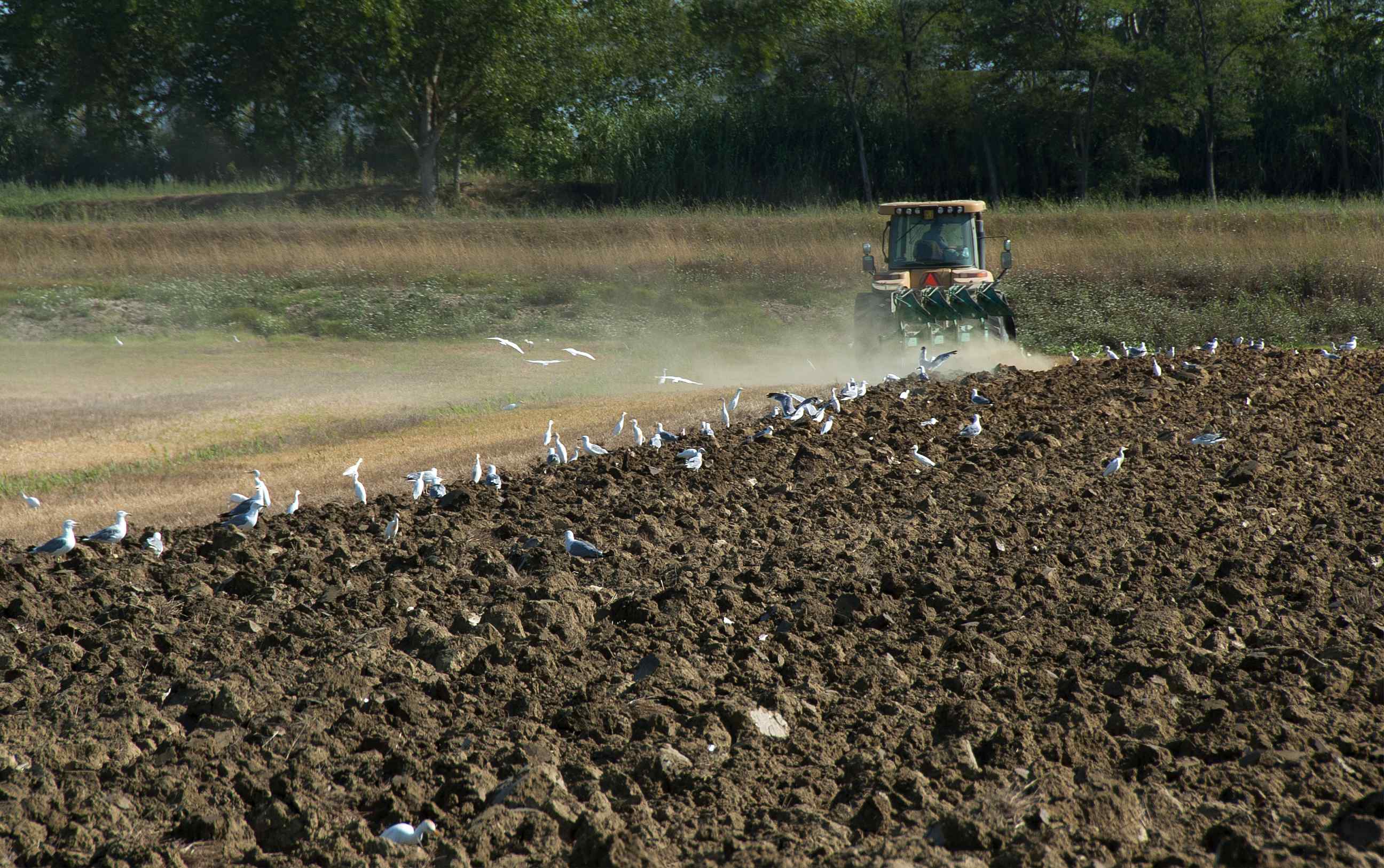 Pillole di programma: Agricoltura